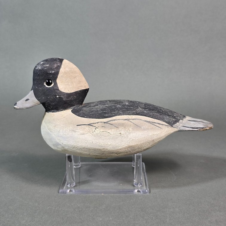 Steve  " Bubbles " Merritt,  Chincoteague,  VA Bufflehead