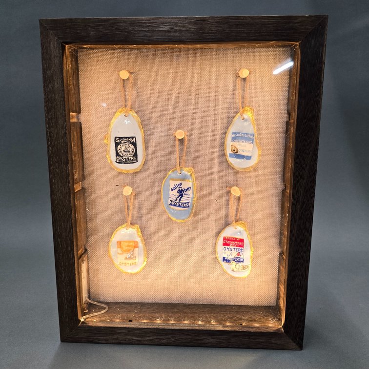 Lighted Oyster Shell Shadow Box