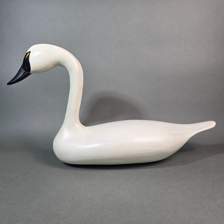 Carl Wheeler, Havre de Grace,  MD Swan