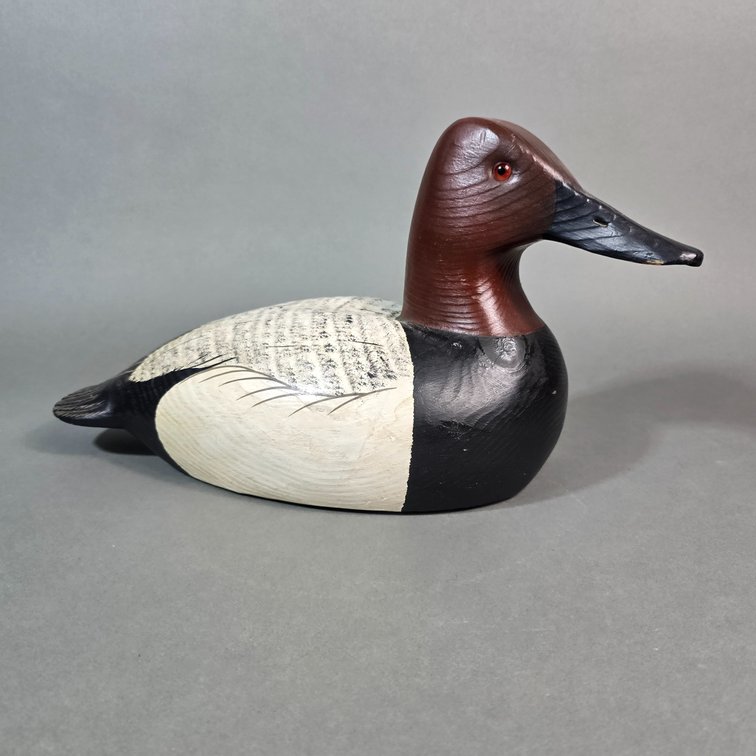 Roe Terry,  Chincoteague,  VA Canvasback