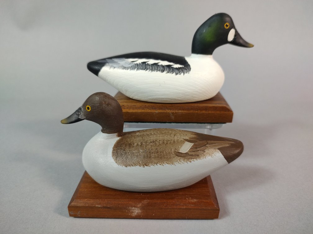 David Carroll, Chestertown MD Mini GoldenEye Pair 