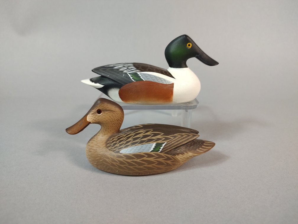 David Carroll Chestertown MD Mini Shoveler Pair