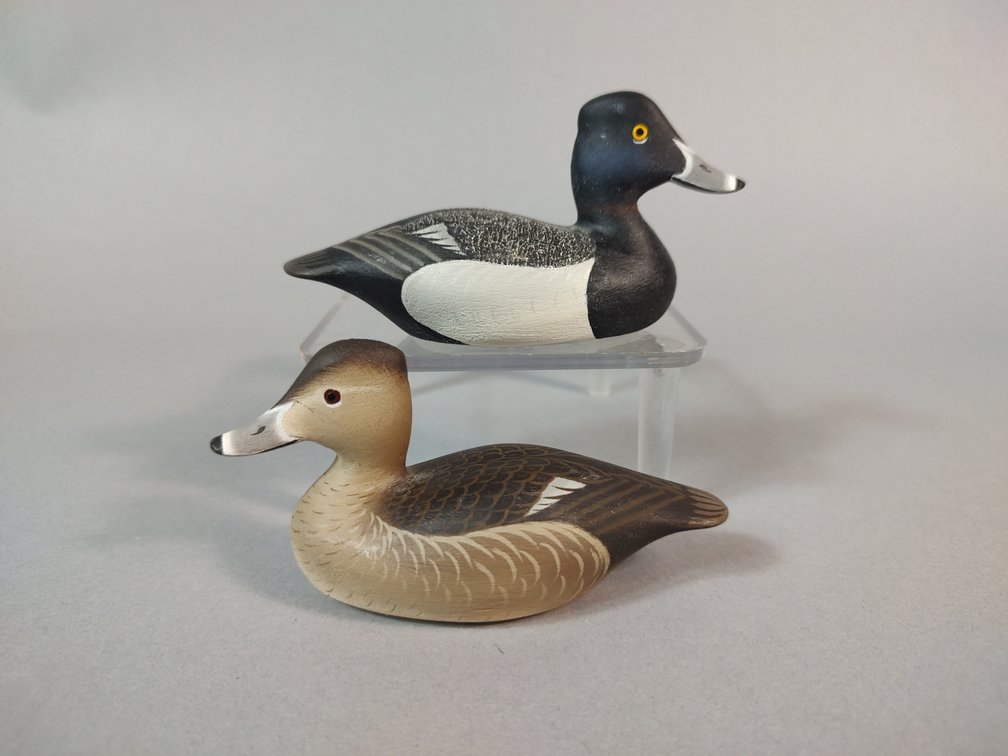 David Carroll Chestertown MD Mini Ringneck Pair 