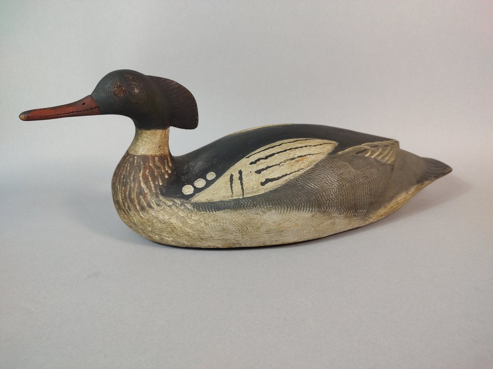 Reggie Birch, Chincoteague VA Merganser 