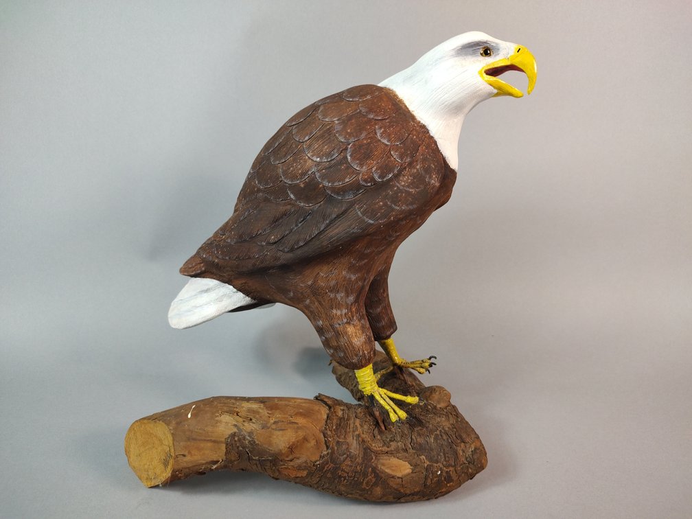 Ed Cassidy Eagle