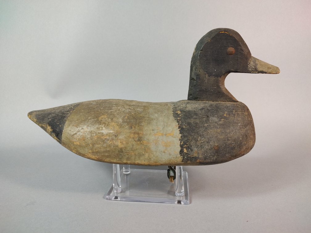 Brice Tillman, Annapolis MD Bluebill 