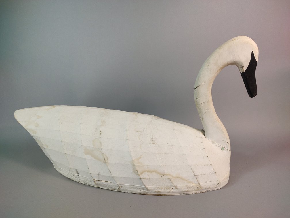 North Carolina, Swan