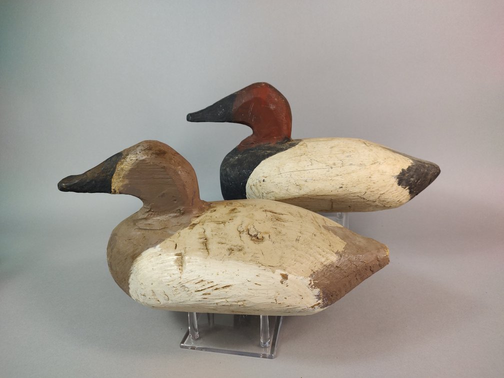 Wyvill, Alexandria, VA Canvasback Pair 