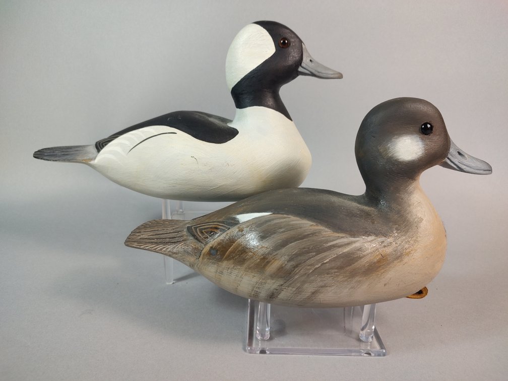David Rhodes, Absecon, NJ Bufflehead Pair 