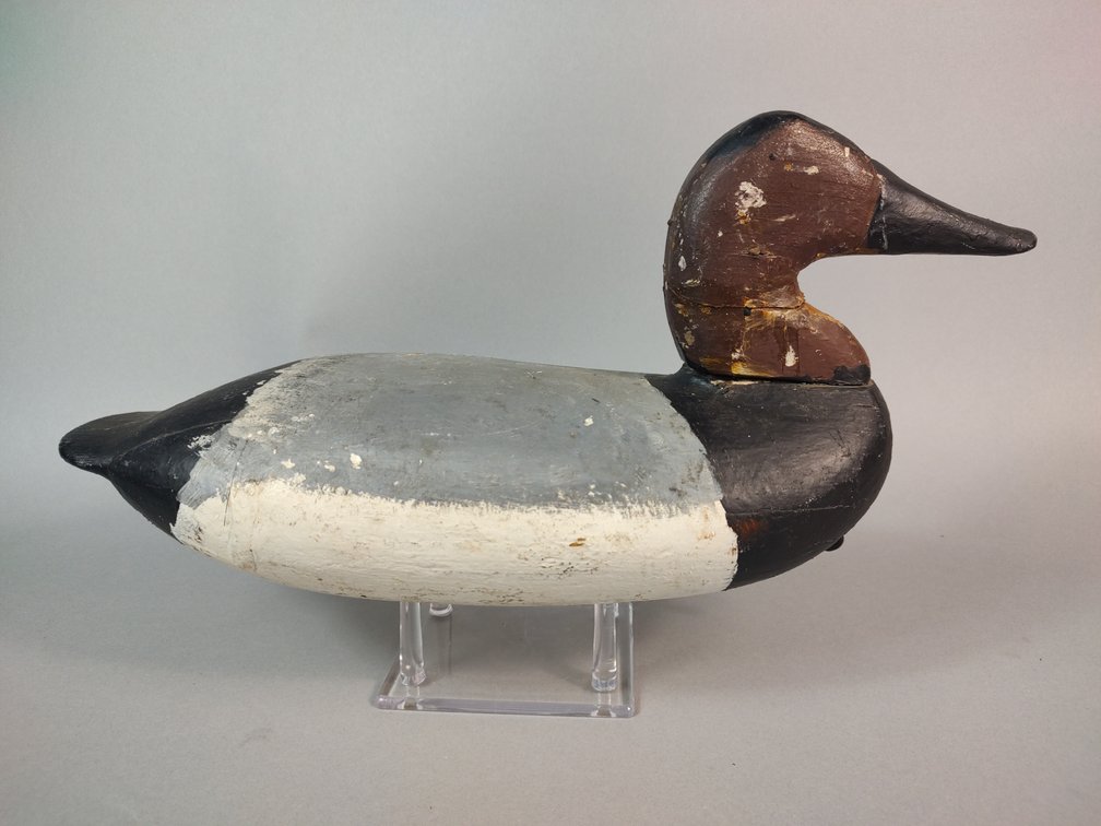 Upper Chesapeake Bay Gunning Canvasback 