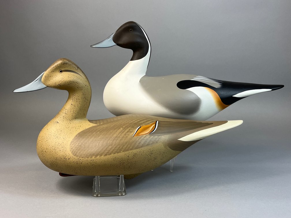 Dan Carson, Havre de Grace, MD, Pintail Pair