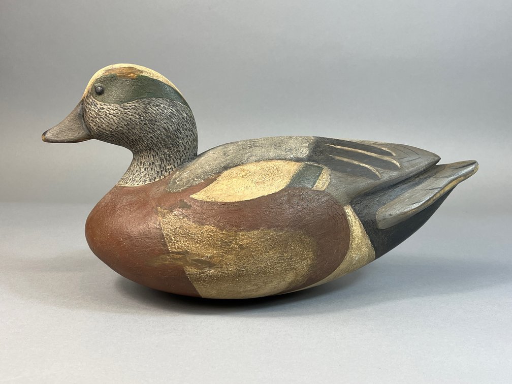 Bruce Eppard, Crofton, MD, Widgeon