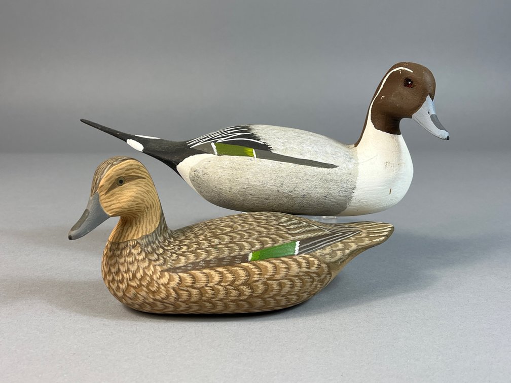 H V Shourds, New Jersey, Pintail Pair