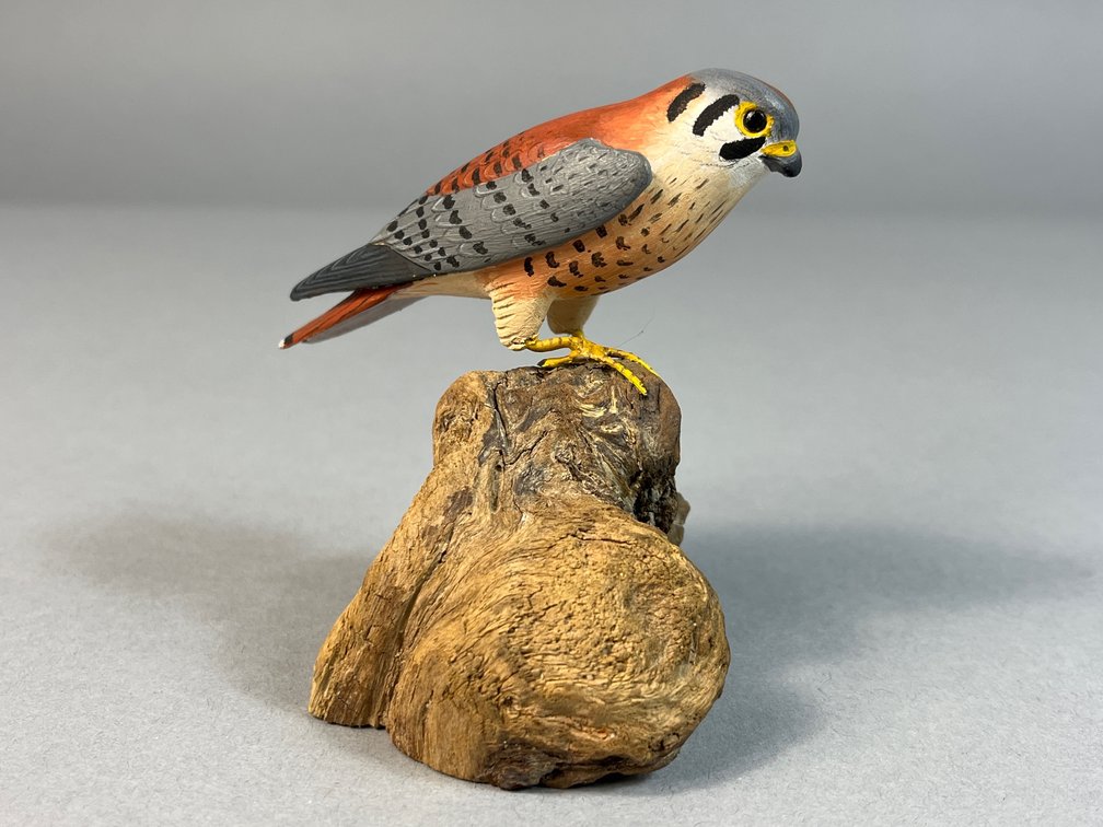 William Reinbold, Chestertown, MD, American Kestral