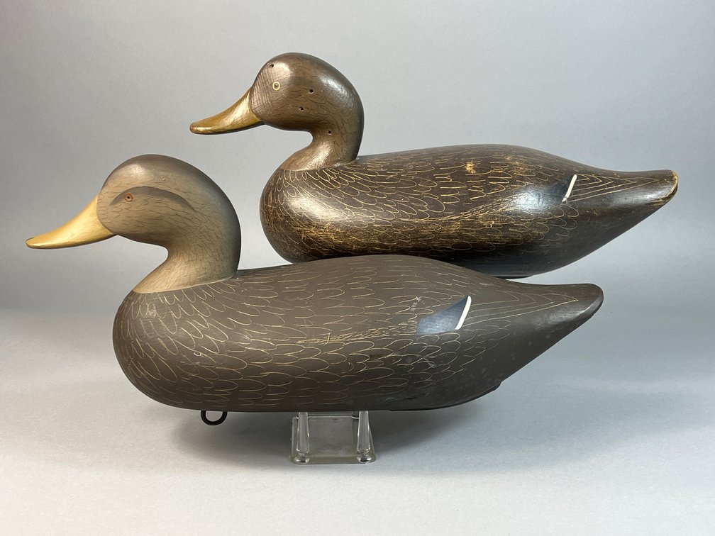 Charlie Bryan, Middle River, MD, Black duck Pair
