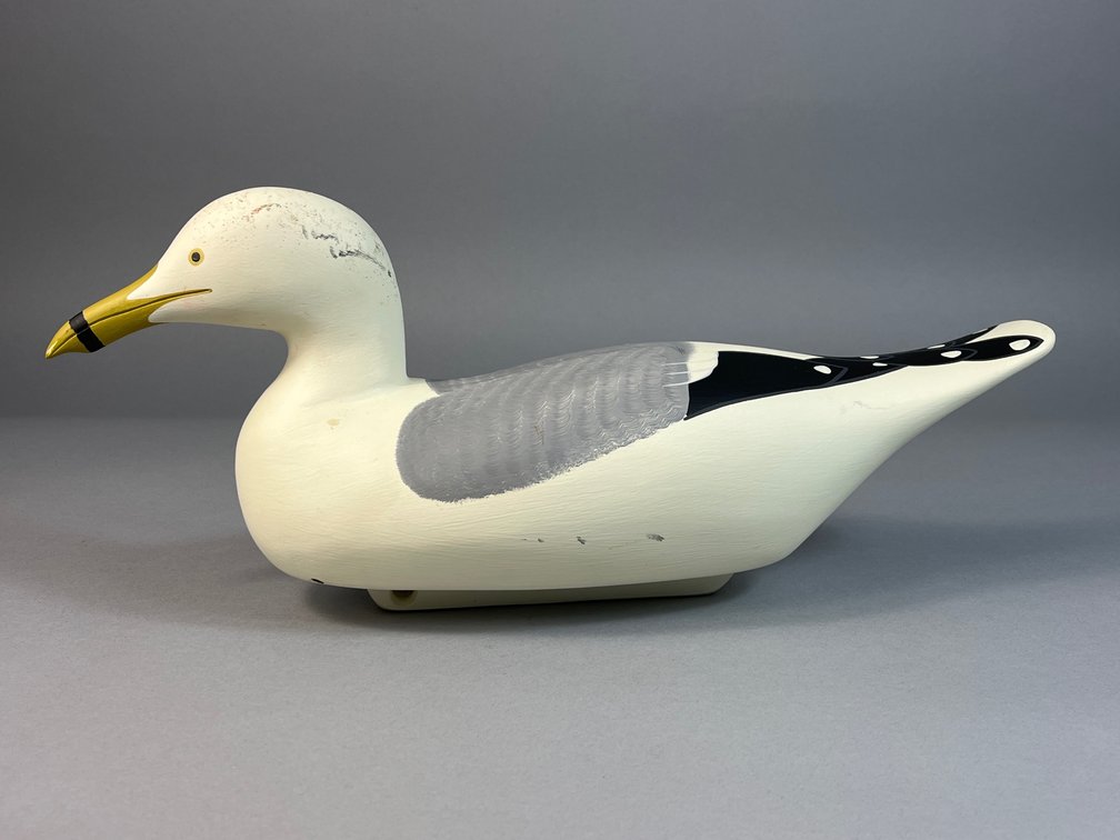 Bryon Bodt, Churchville, MD, Gull