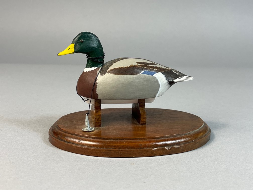 Charles Berry, Salisbury, MD, Mallard