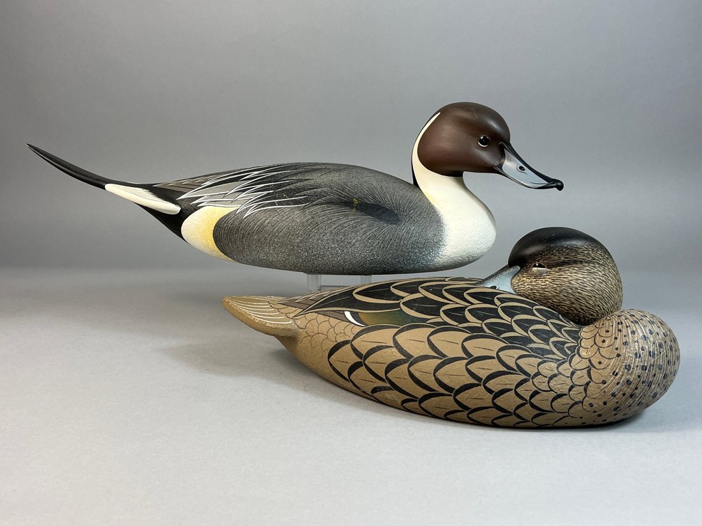 Ned Mayne, New Castle, DE, Pintail Pair