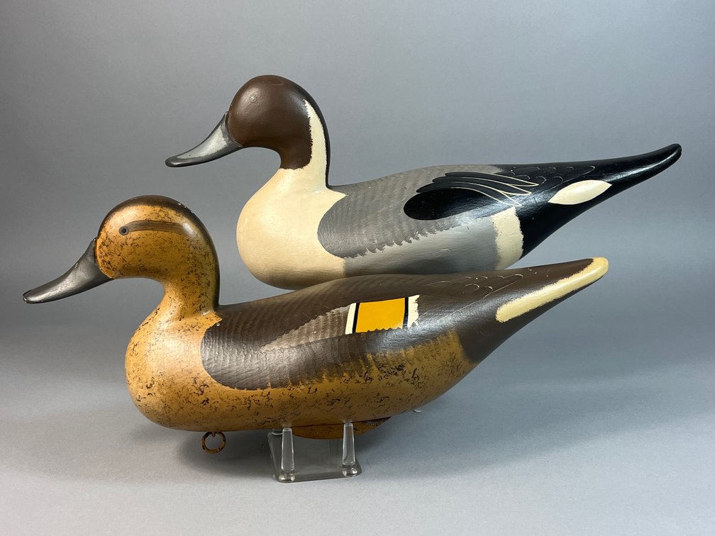 Bryon Bodt, Churchville, MD, Pintail Pair