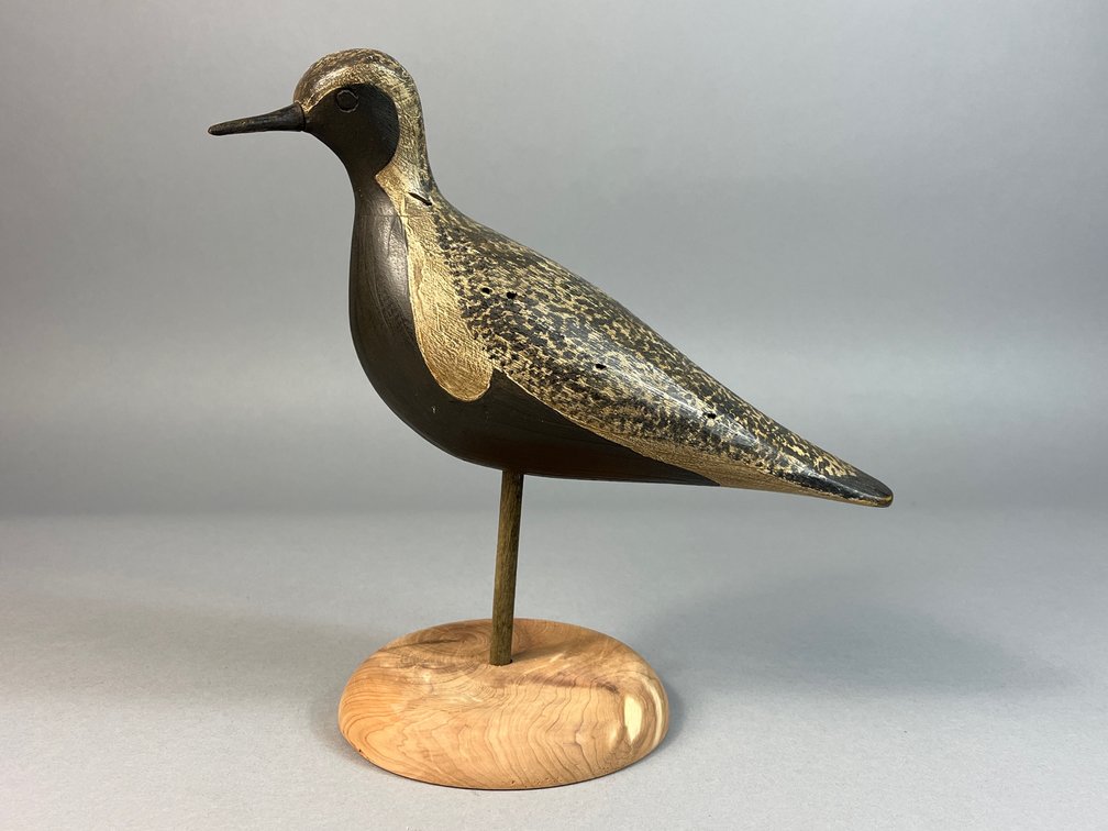 Steve Morey, Tuckerton, NJ, Black Bellied Plover