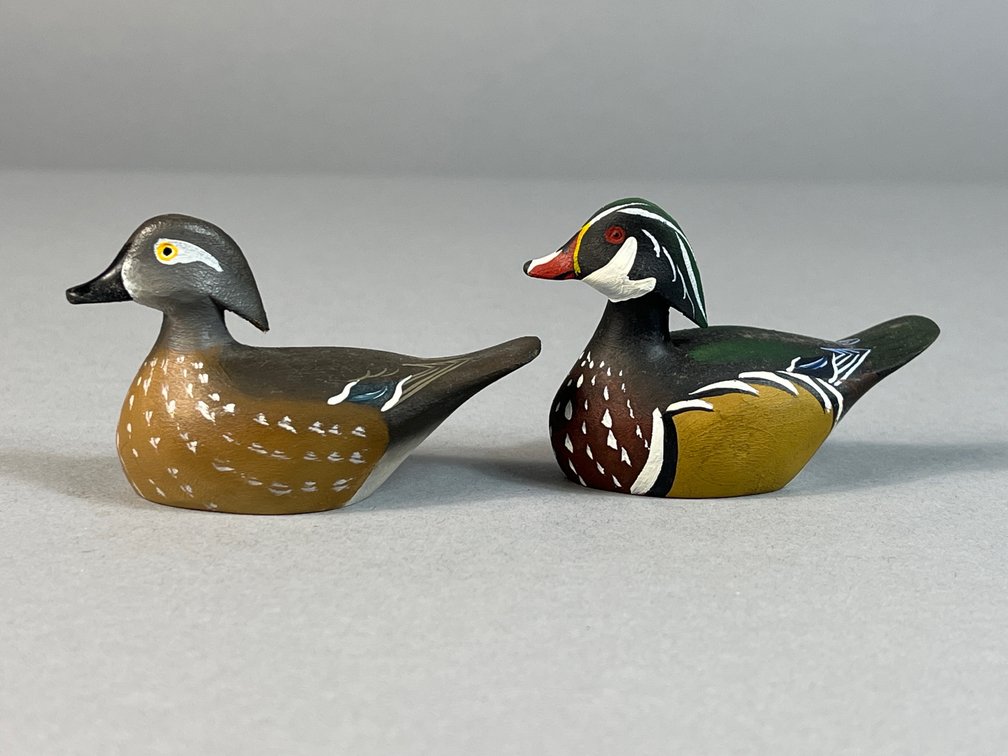 Allan Schauber, Chestertown, MD, Wood Ducks