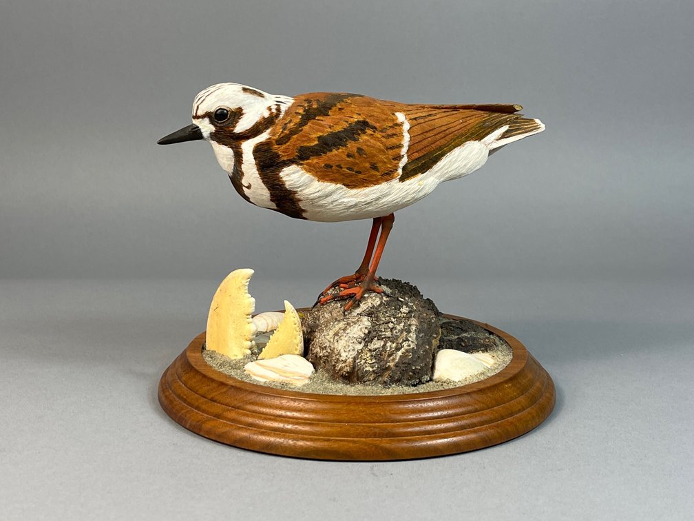 Jim and Betty Cumming, Ruddy Turnstone