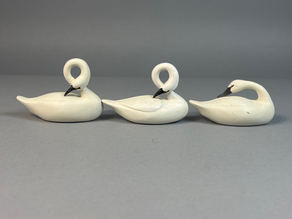 R. Hess, Delta, PA, Tundra Swan Trio