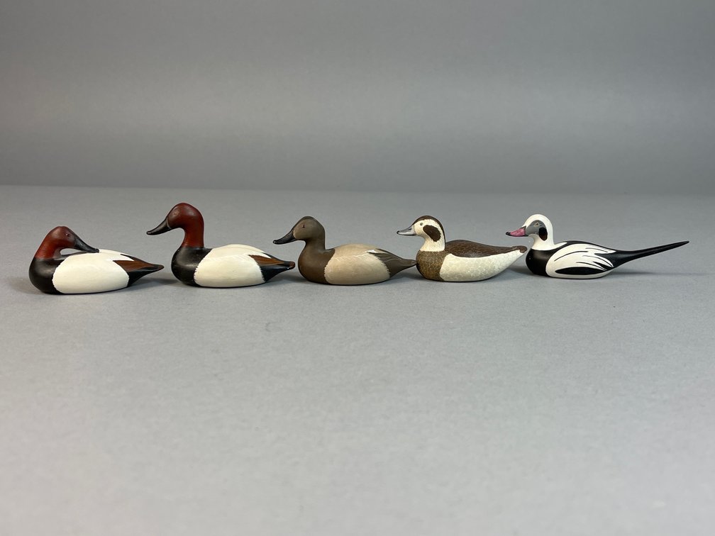 R Hess, Delta, PA, Canvasbacks/Old Squaws