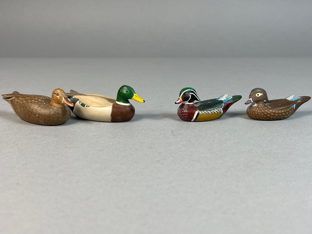 R Hess, Delta, PA, Wood Ducks/Mallards
