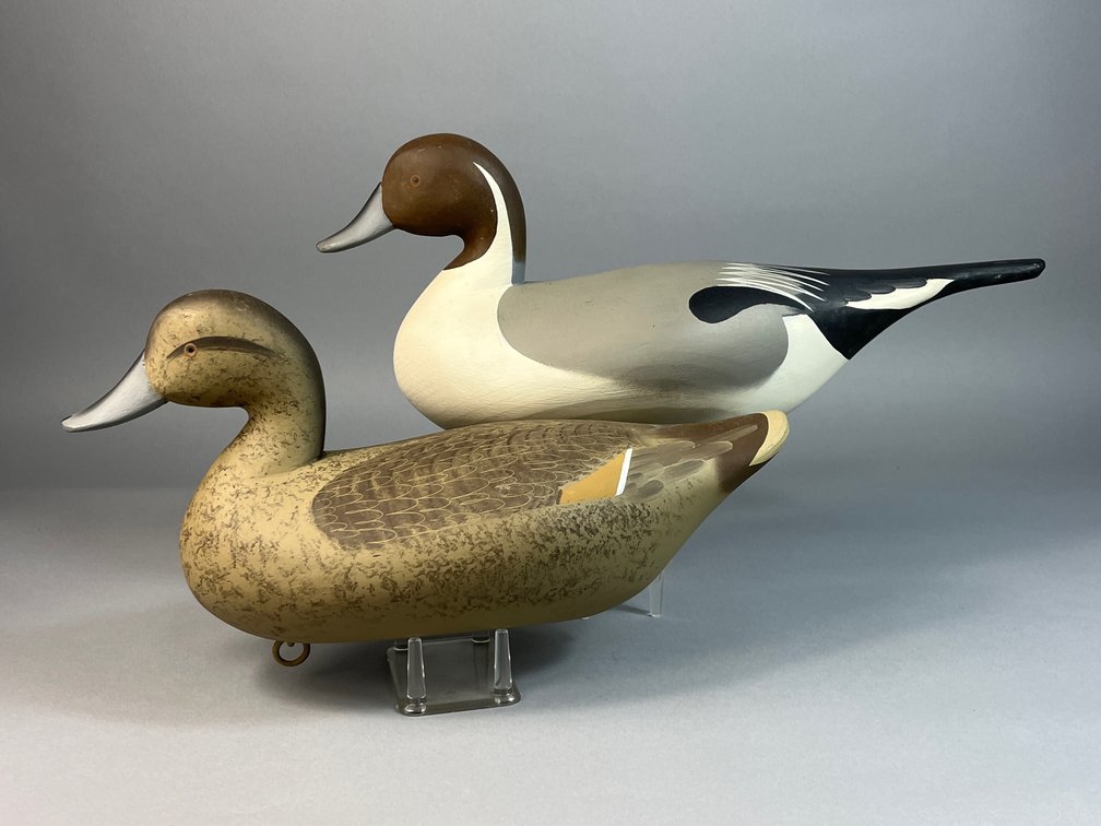 Charlie Bryan, Middle River, MD, Pintail Pair