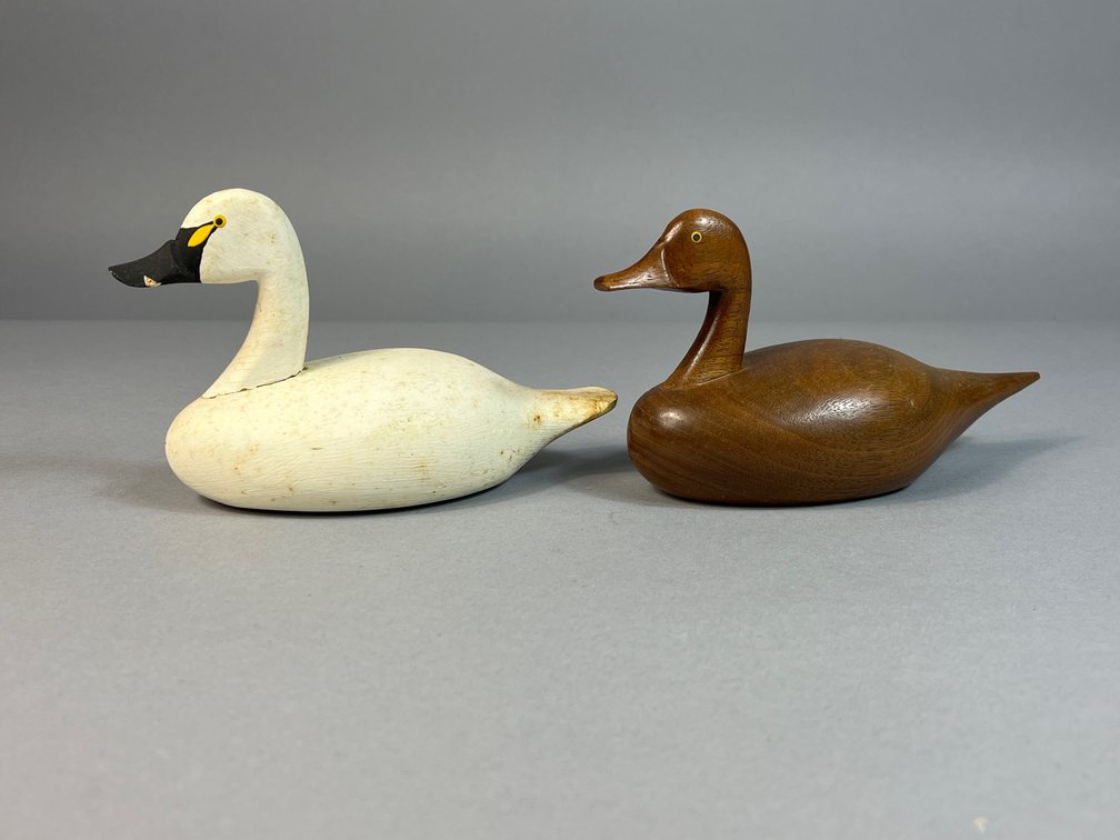 Urie Family, Rock Hall, MD, Swan/Pintail