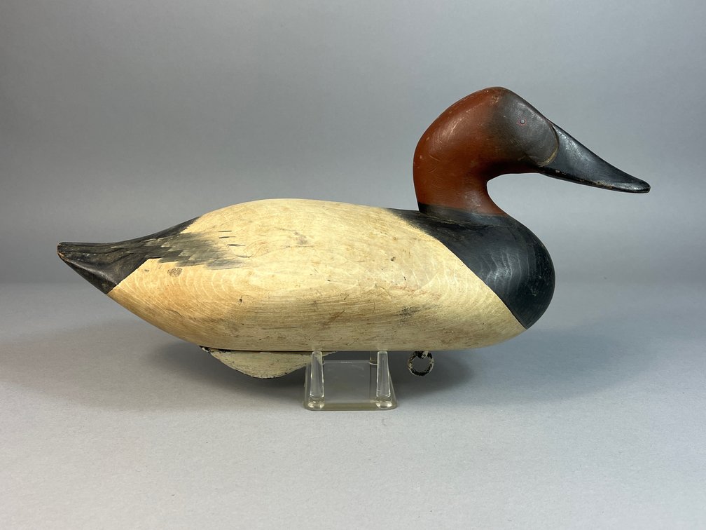R Madison Mitchell, Havre de Grace, MD, Canvasback