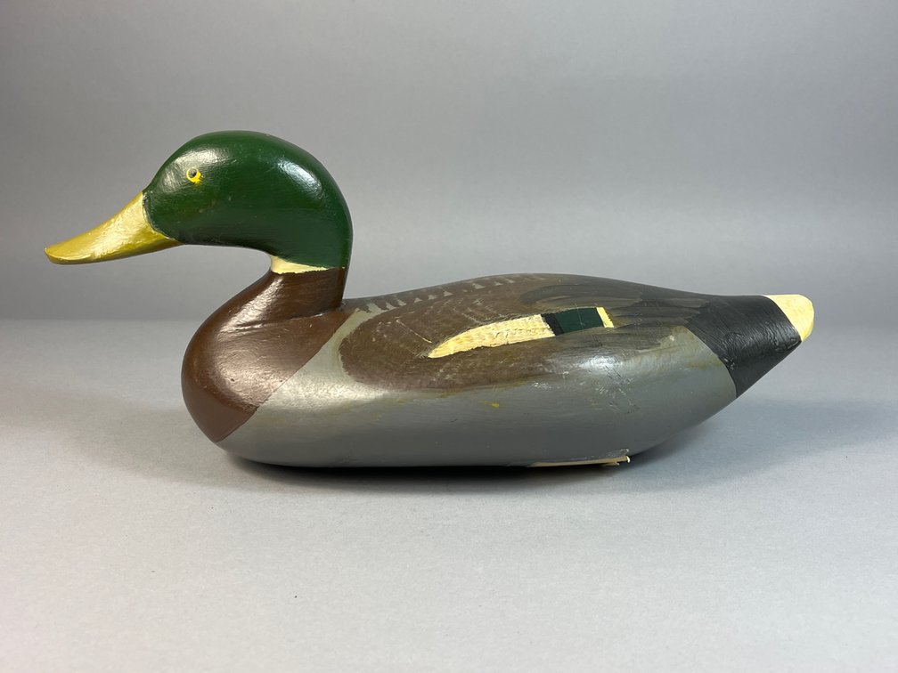 Paul Gibson, Havre de Grace, MD, Mallard