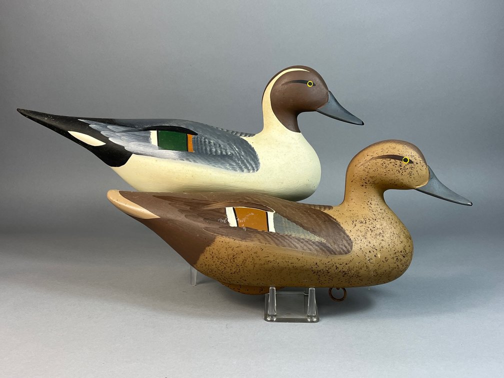 Bob Jobes, Havre de Grace, MD, Pintail Pair