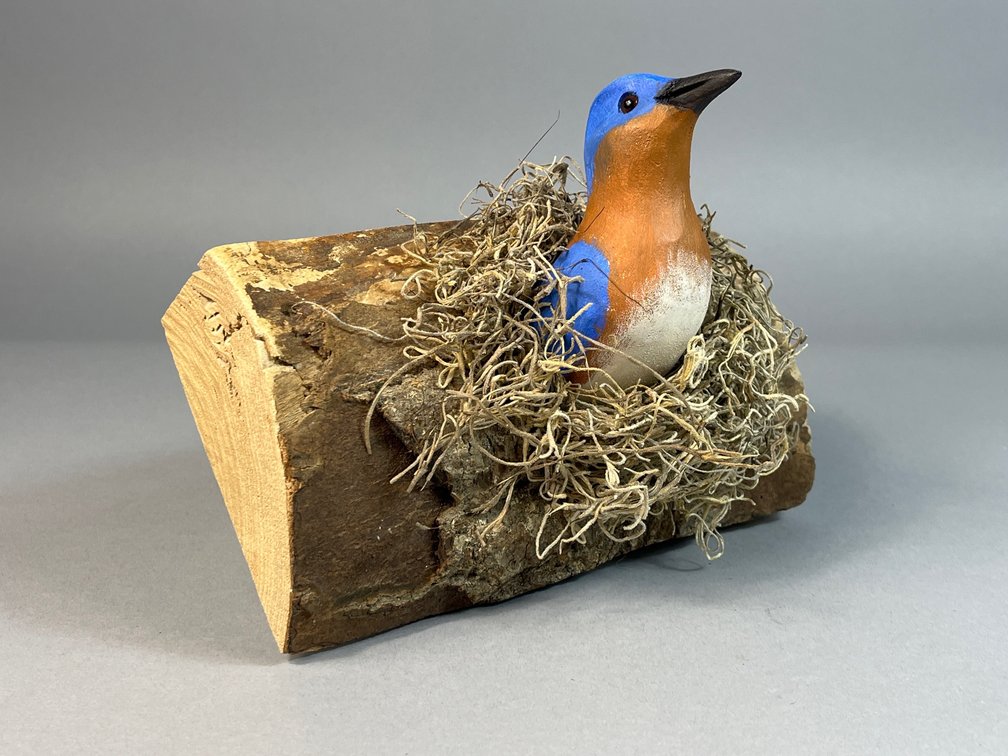 Jim Britton, Reedville, VA, Bluebird