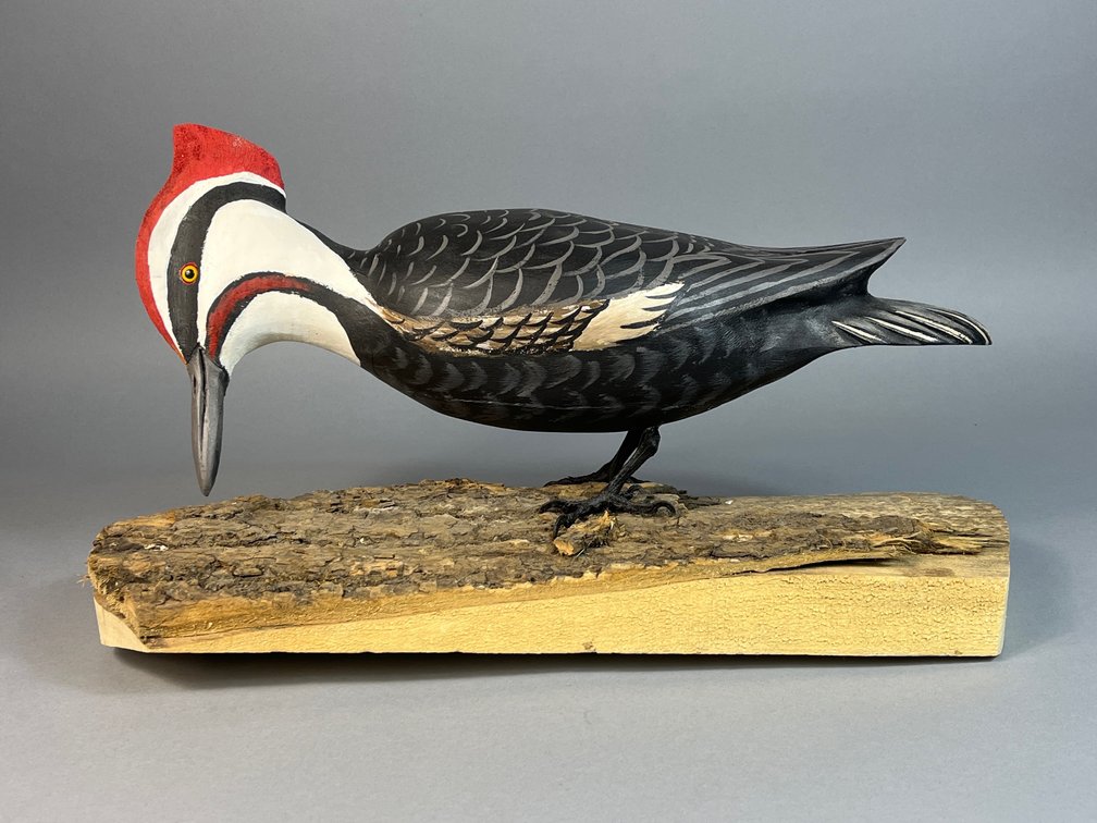 Jim Britton, Reedville, VA, Wood Pecker