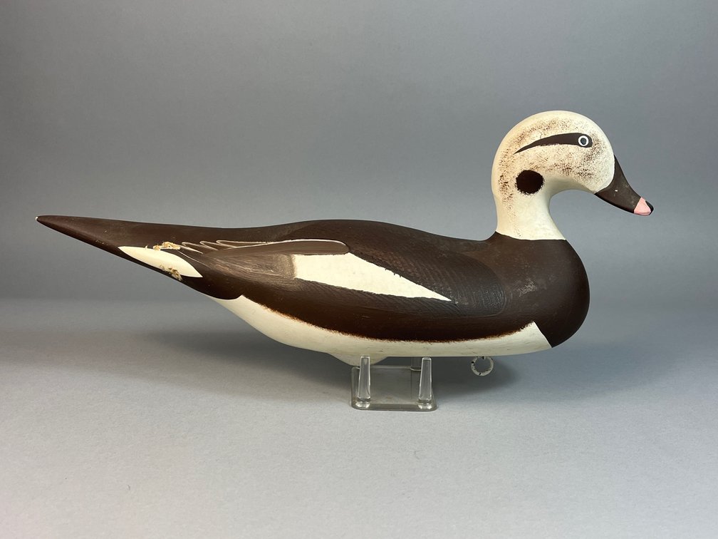 Pat Vincenti, Havre de Grace, MD, Old Squaw Hen