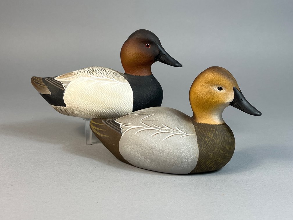 John Day, Cecilton, MD, Canvasback Pair