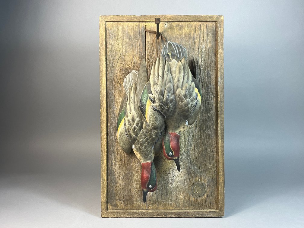 Ducks Unlimited Teal Display