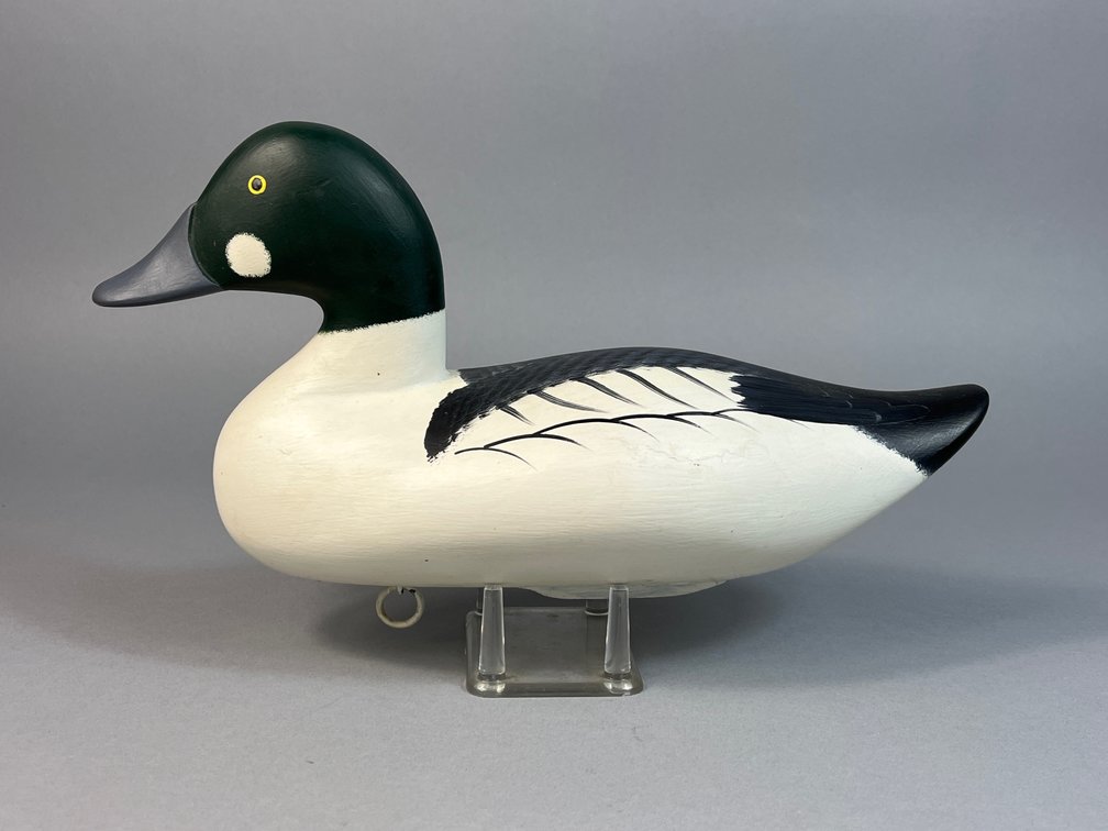 Bryon Bodt, Churchville, MD, Goldeneye