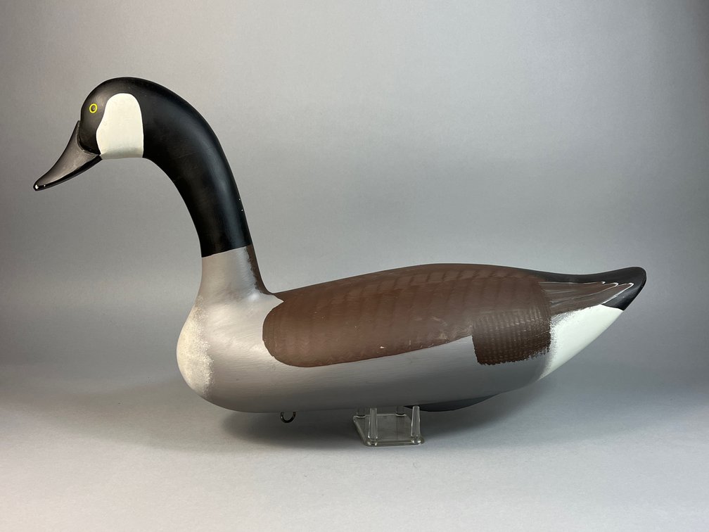 Dave Walker, Havre de Grace, MD, Canada Goose
