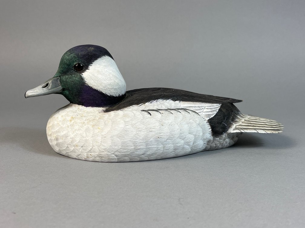 Bill Rothe, Bufflehead