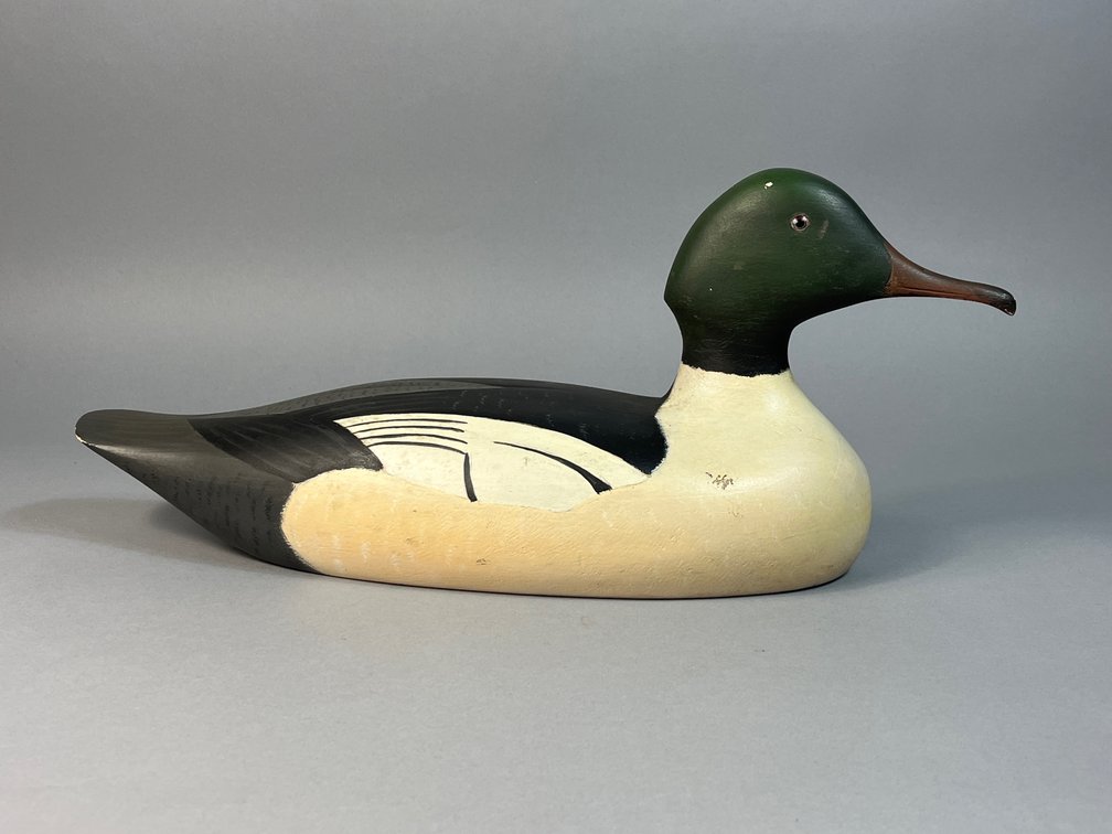Holger G. Smith, Mattapoisett, MA, Common Merganser