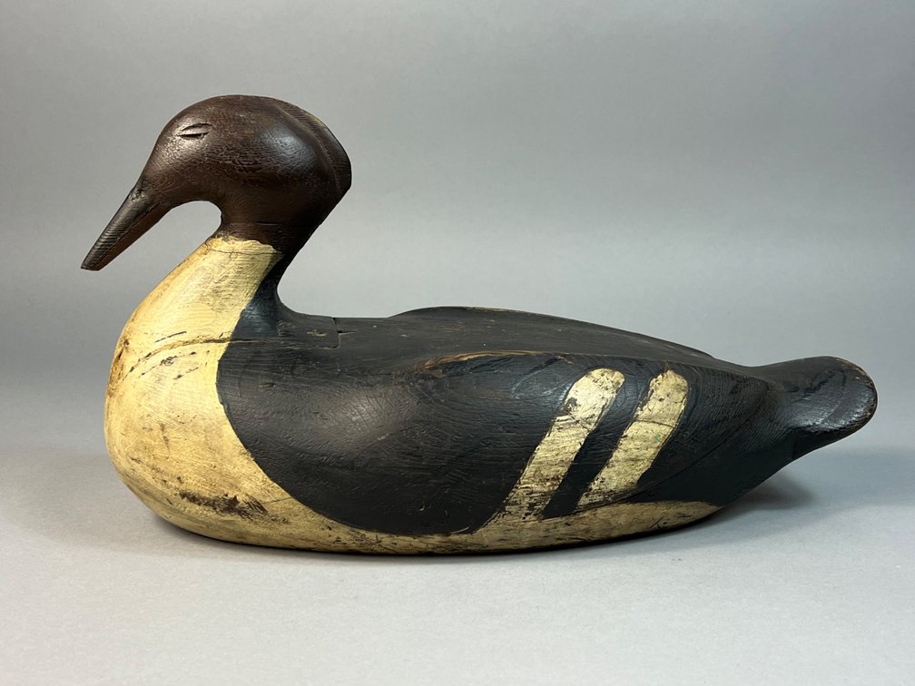 Gus Wilson, South Portland, ME, Hen Goldeneye 