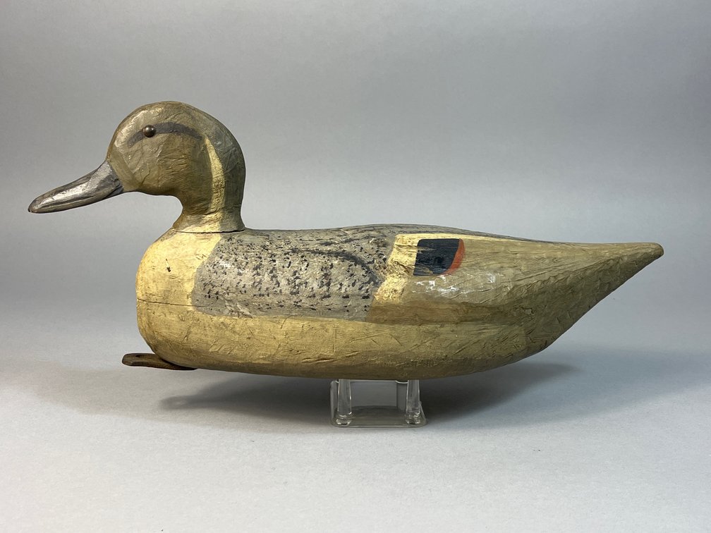 Pintail, Unknown Maker