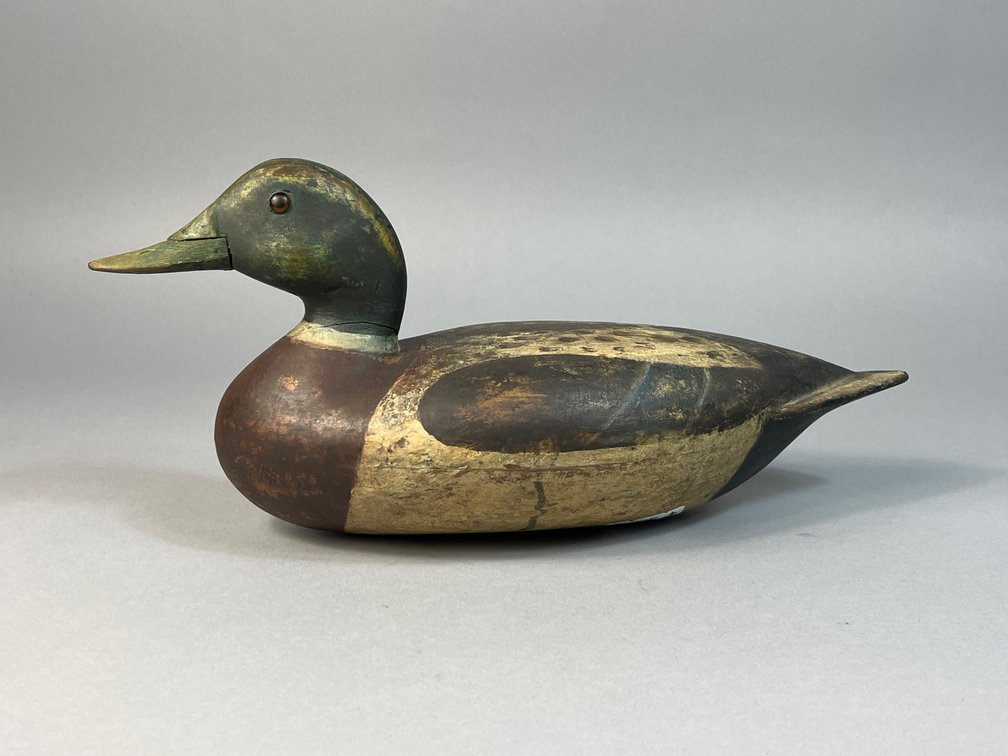 Attd to Roy Kamm, Lacon, IL, Mallard