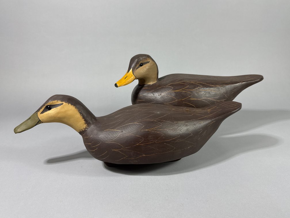 Carroll Lee Marshall, Sanford, VA, Black Duck Pair
