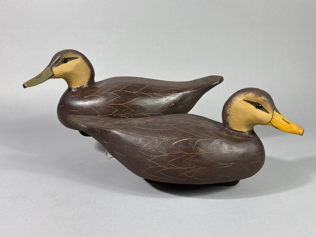 Carroll Lee Marshall, Sanford, VA, Black Duck Pair