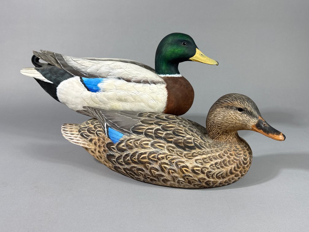 D B Simmons, Mallard Pair