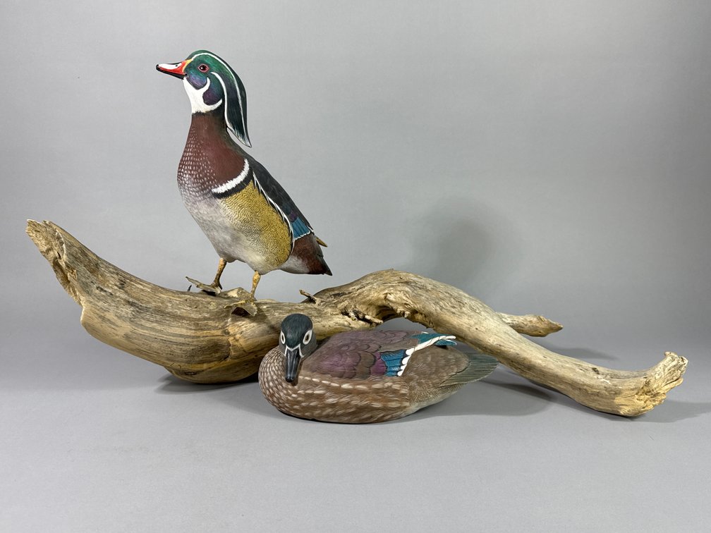 D B Simmons, Wood Duck Pair